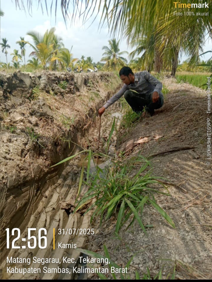 Diduga Proyek Siluman, Normalisasi Irigasi Rawa Dikecamatan Tekarang Dikerjakan Asal asalan