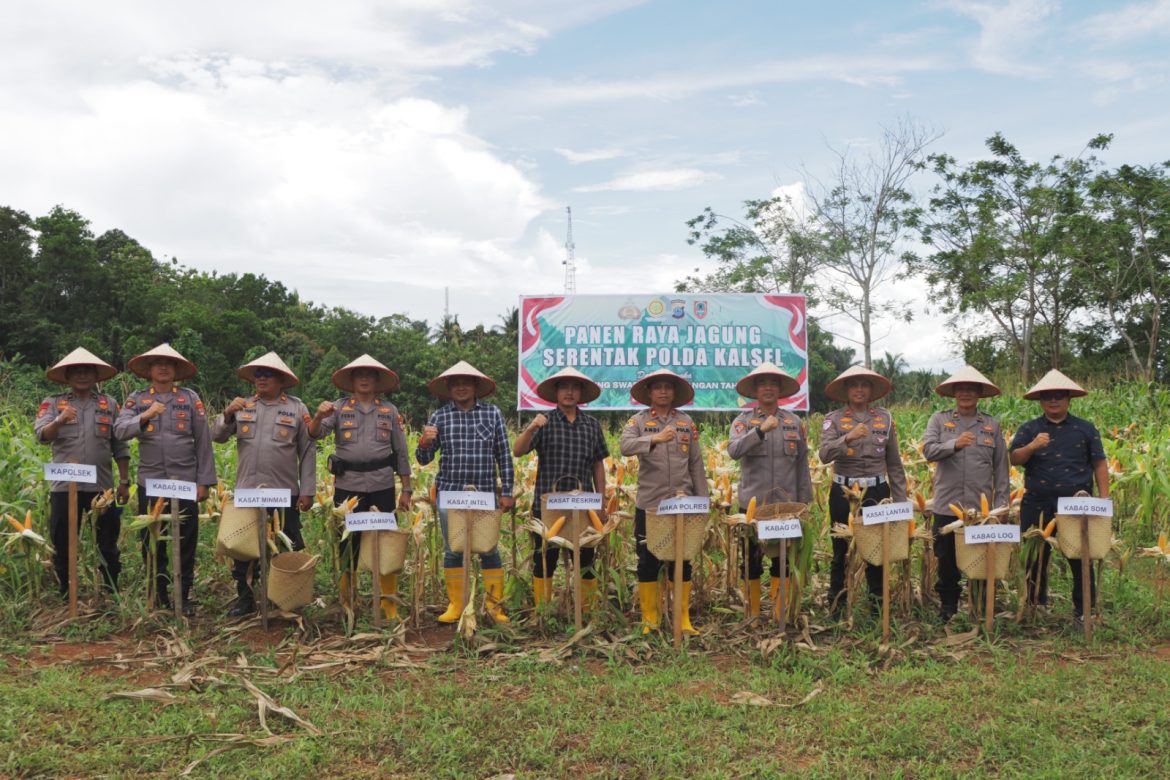 Polda Kalimantan Selatan (Kalsel) menggelar Zoom Panen Raya Jagung Serentak 2025