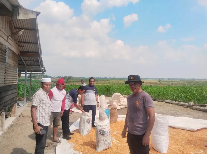 Polres Batu Bara Optimalkan Potensi Lokal, Jagung 12,237 Ton Disalurkan ke Bulog