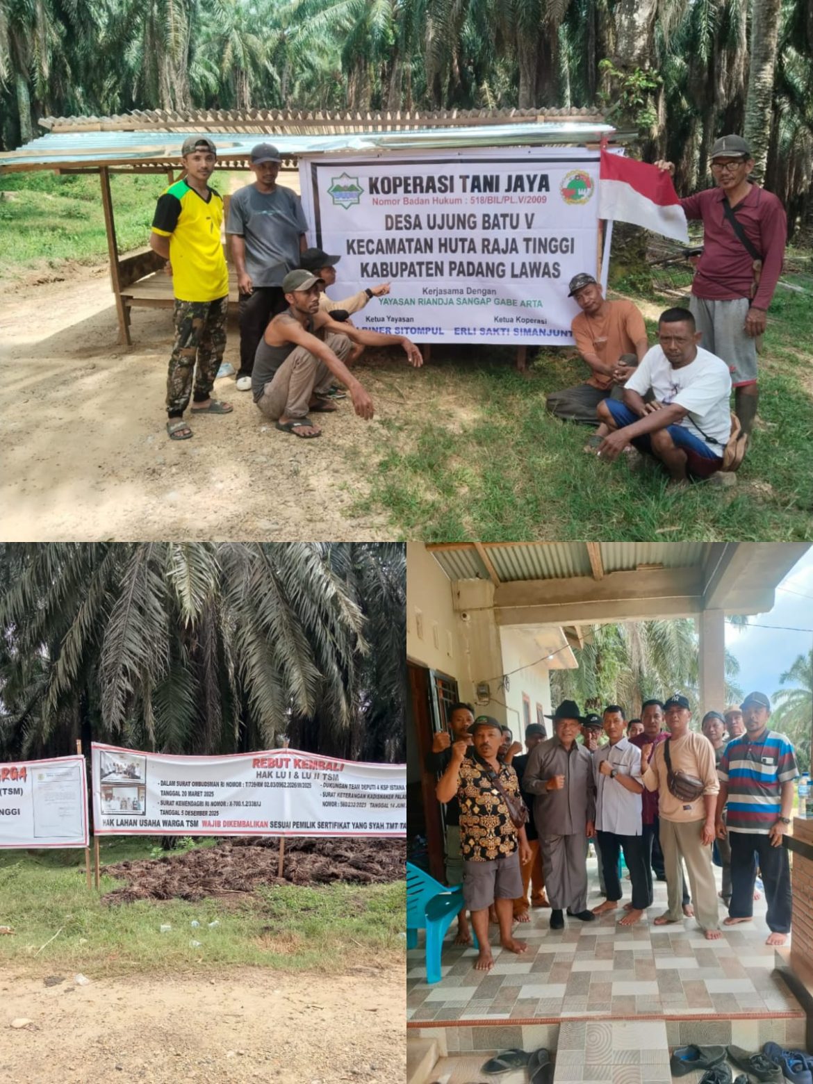 LANGKAH dan UPAYA, LAHAN “REBUT PAKSA”: Warga TSM Tanam Sawit, Walaupun PT VAL Palang Akses Jalan, Warga Tetap Semangat Memperjuangkan Hak !