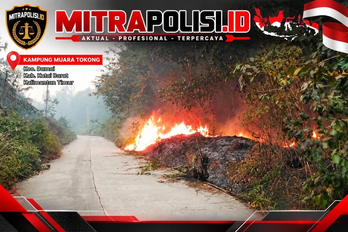 Kebakaran Lahan di Muara Tokong Kutai Barat Belum Padam, Api Disebut Menyebar di Sejumlah Titik